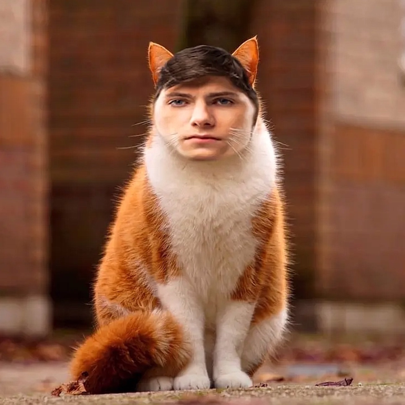 naumkkeyyy FACEIT avatar