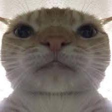 XainnZzz avatar