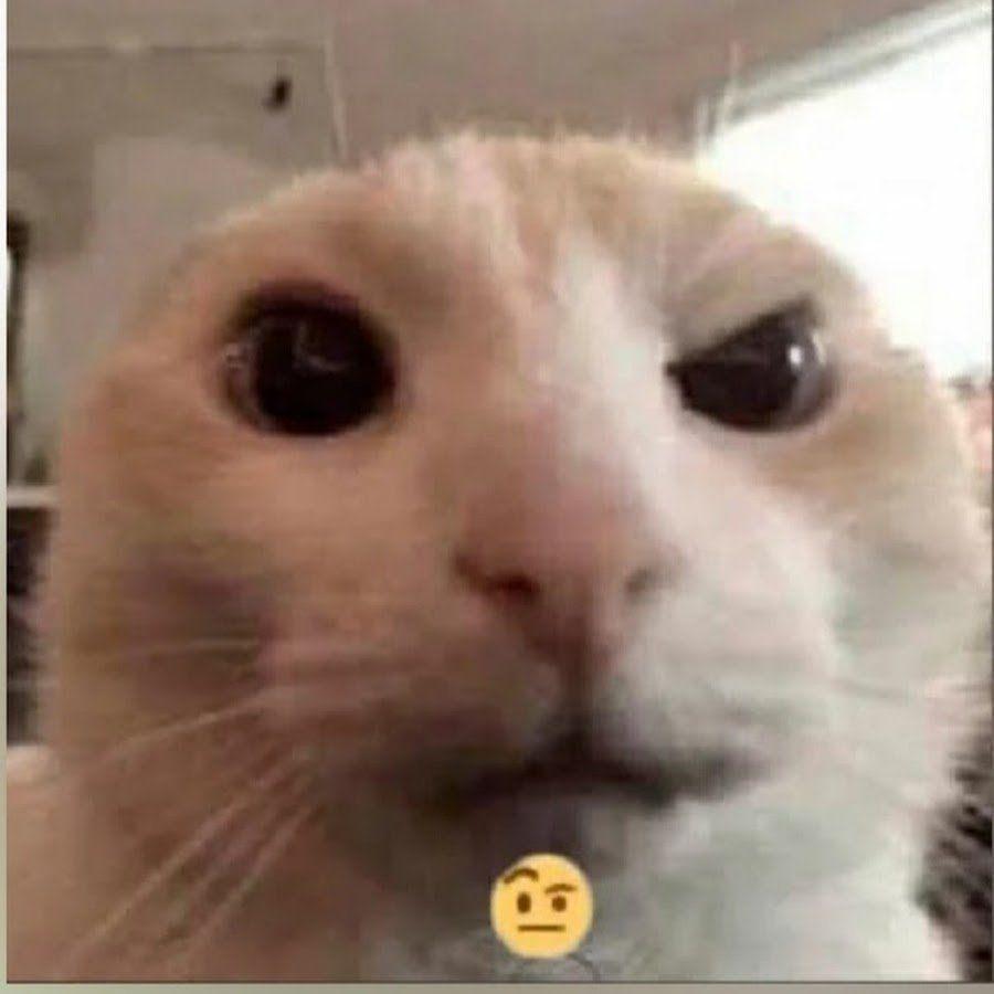 Oy771 avatar