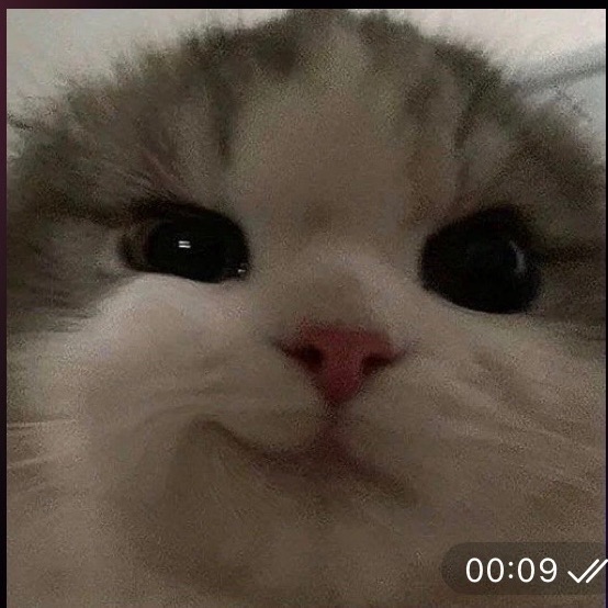 Limon4ik454 FACEIT avatar