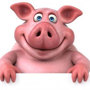 dmarshald avatar
