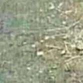 hazbik avatar