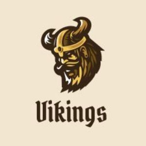 Vikings TEAM