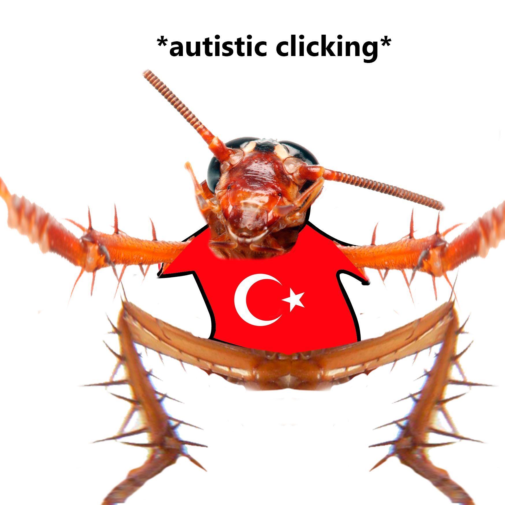 Turkeysucks avatar