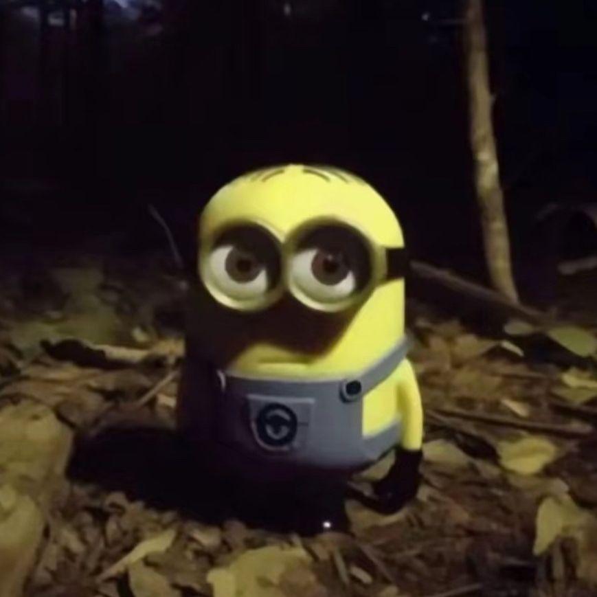 S1mkaXD avatar