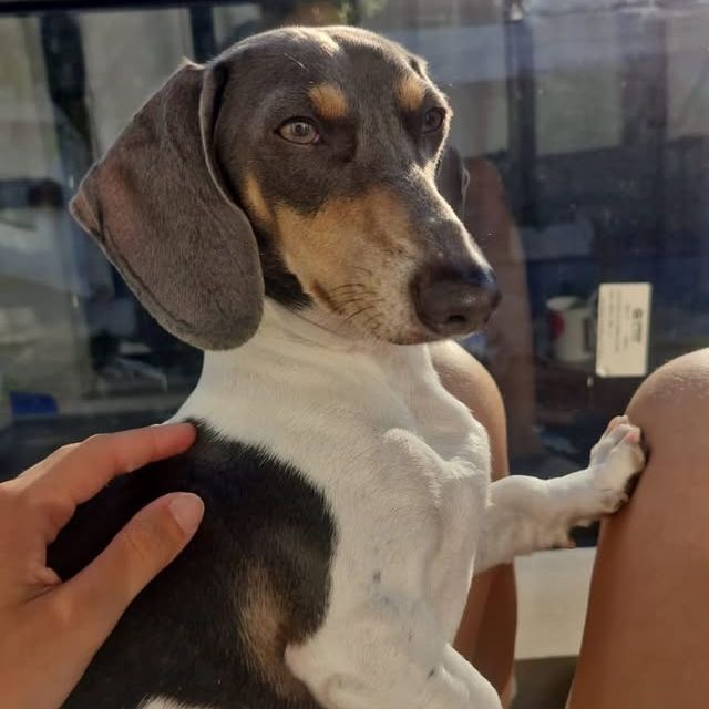 Marito