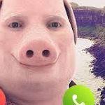 dizzl_shizzl