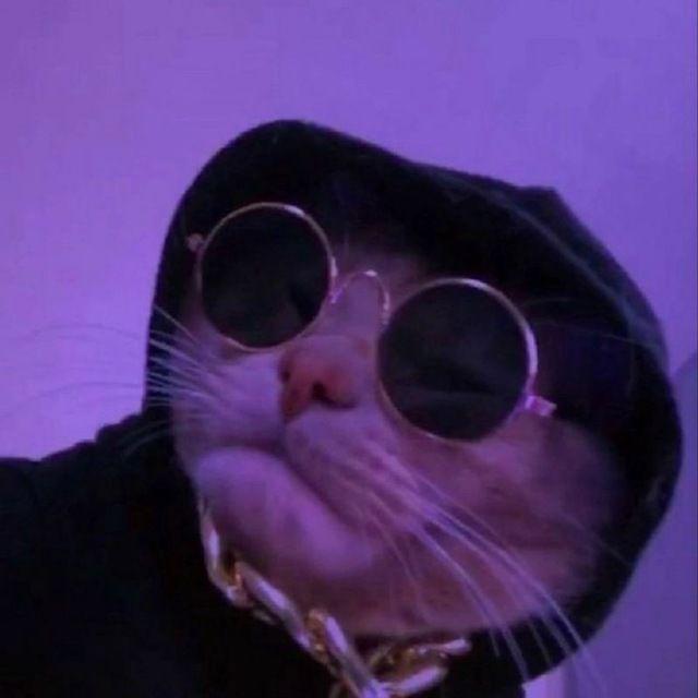 Lafom1nus avatar