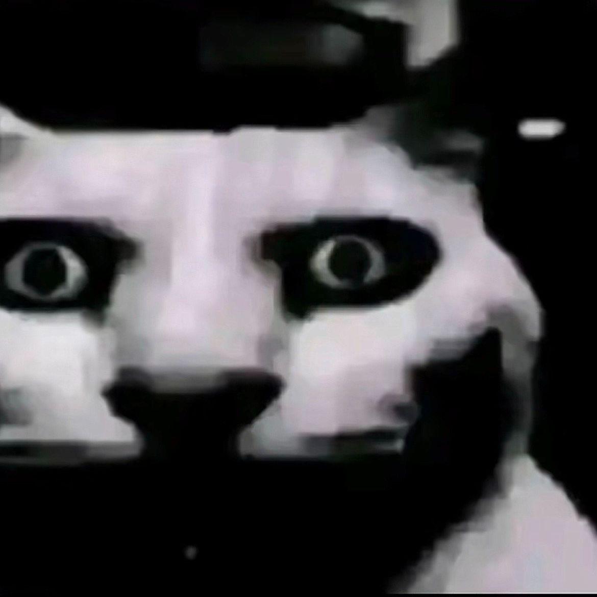 mrIgor18 avatar