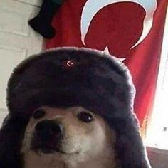 methizm avatar