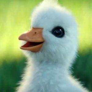 KerimAydin avatar