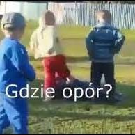 Best Dowoz