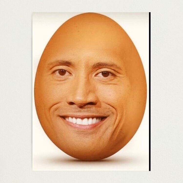 Bordu43