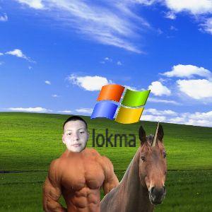 lokma98 avatar