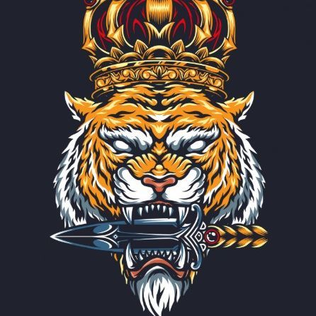 TIGGGRRRR FACEIT avatar