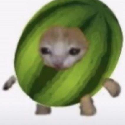 Watermelon13 avatar