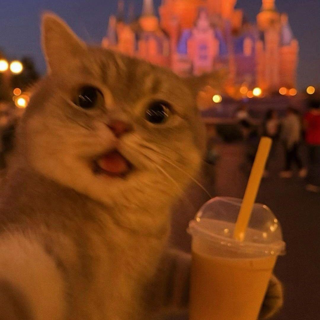 Kat4na_ avatar