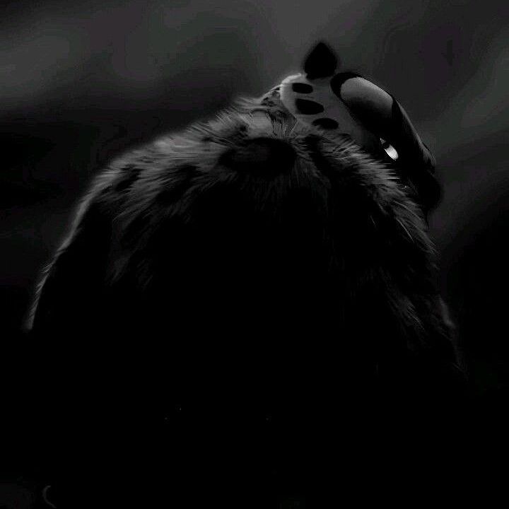 6whte