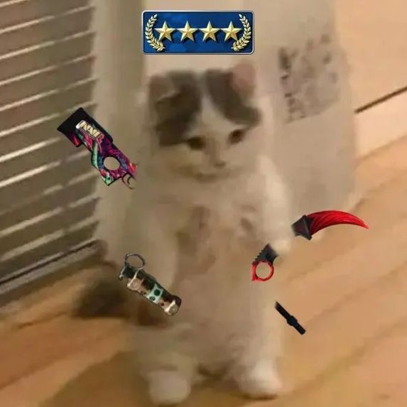 Immitem