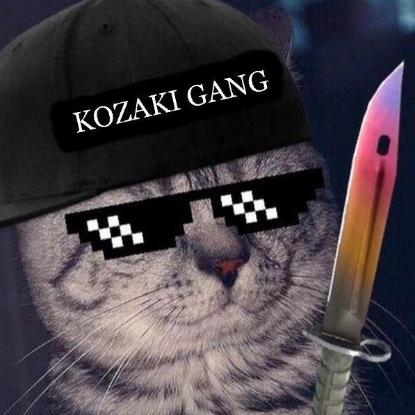 GAM_GAMAZOV avatar