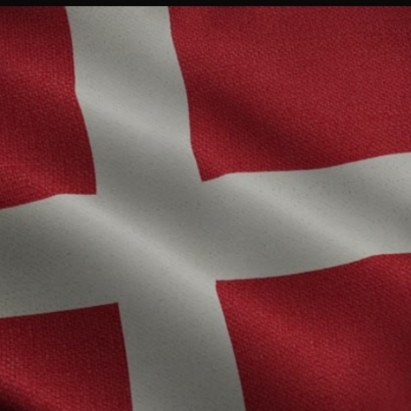 Danish Warriors