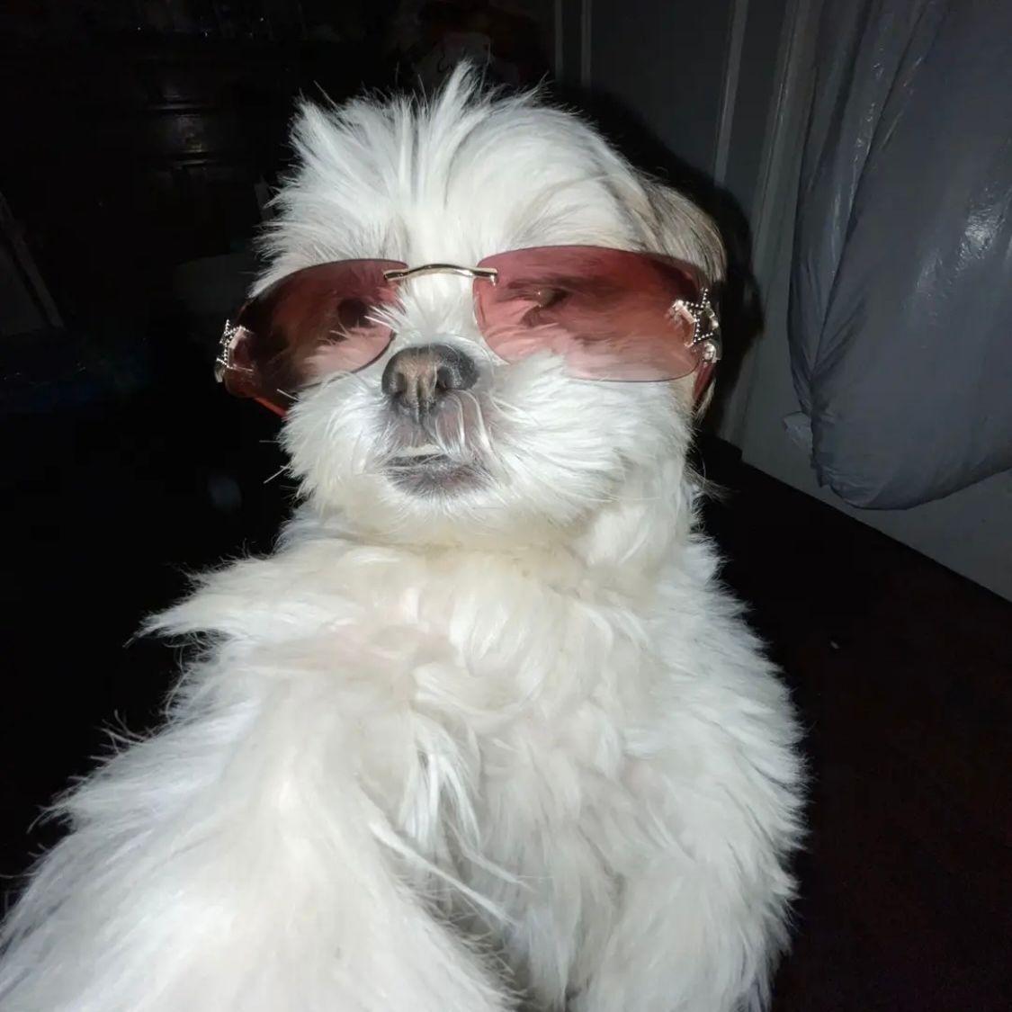 Krissyiscool avatar