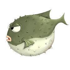 IGL_Puffer_F