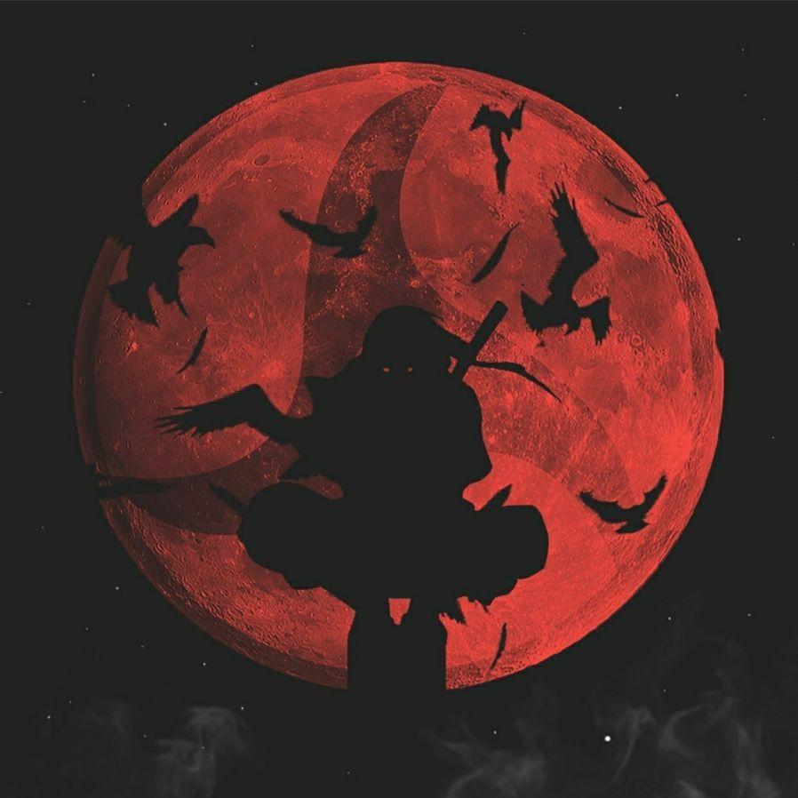zelamxa avatar