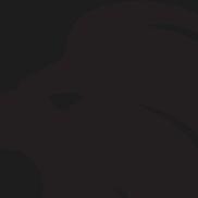 enzyM_ avatar