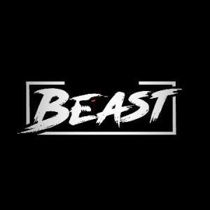 Player --BeAsT avatar
