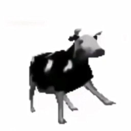 chtezc avatar