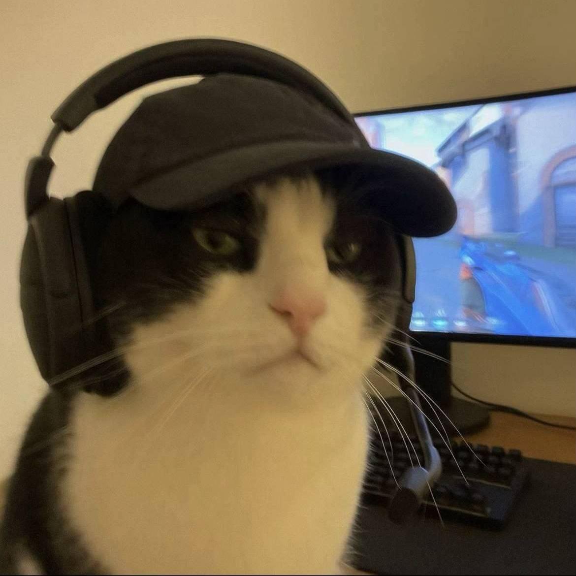 Faceit avatar
