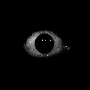 cfvk avatar