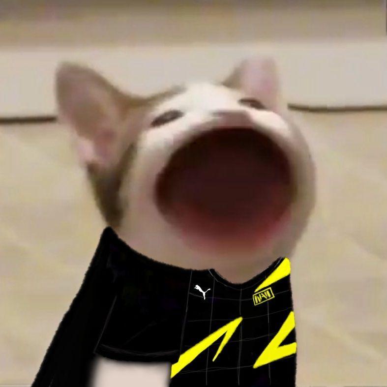 DaBeanMan avatar