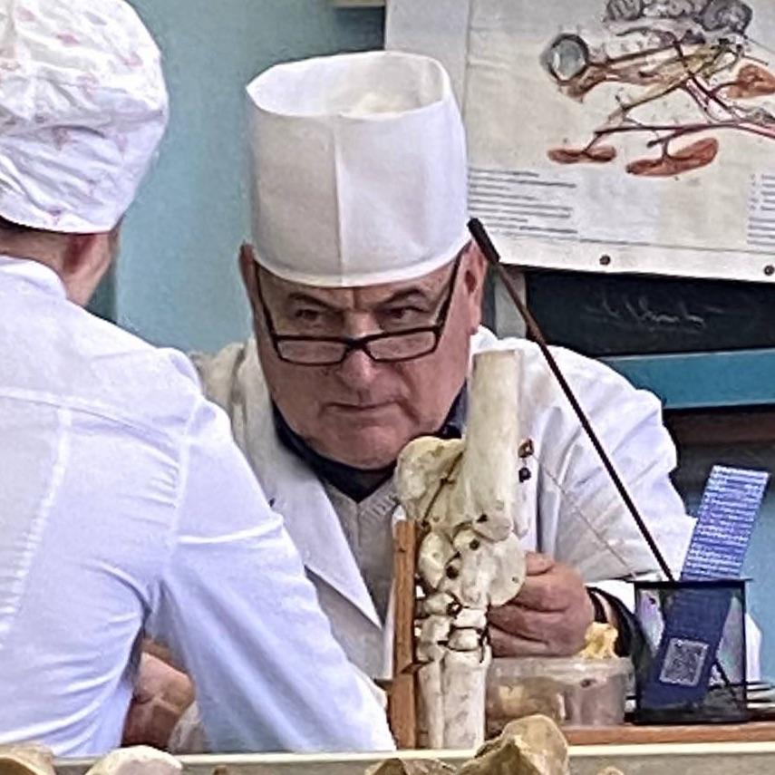 Sifgrai avatar