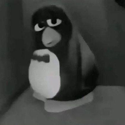 0_0zxc0_0