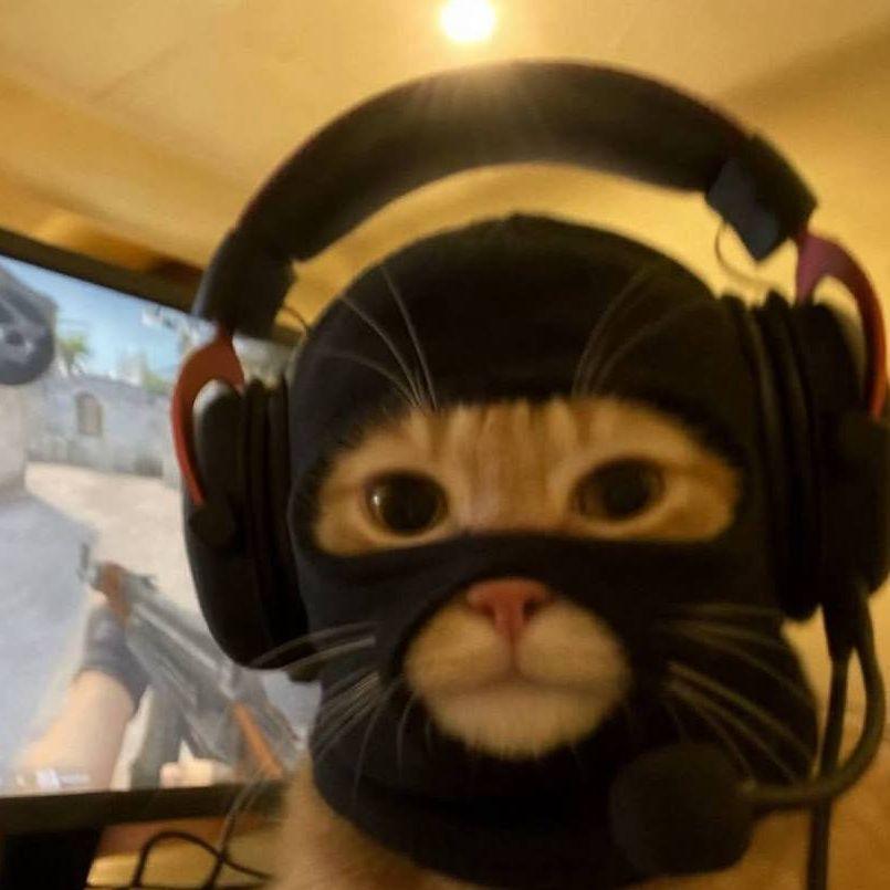 bez avatar