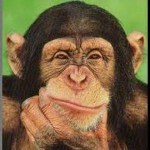 sokfeju avatar