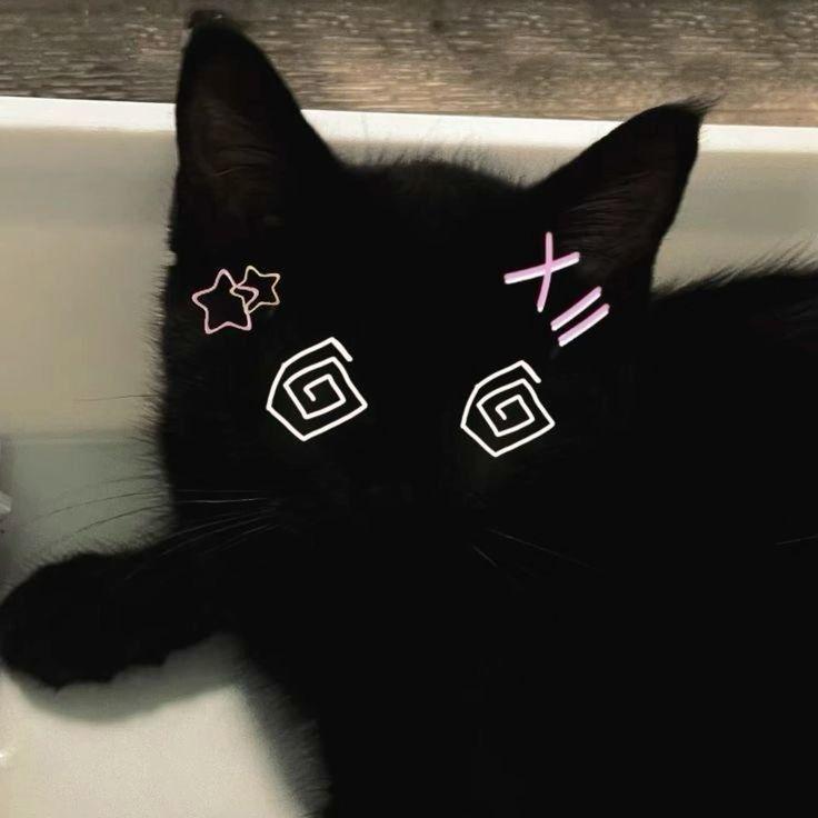 Yanisu avatar