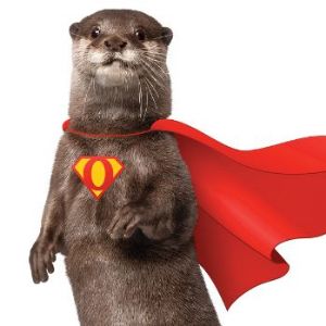 Charming Otters