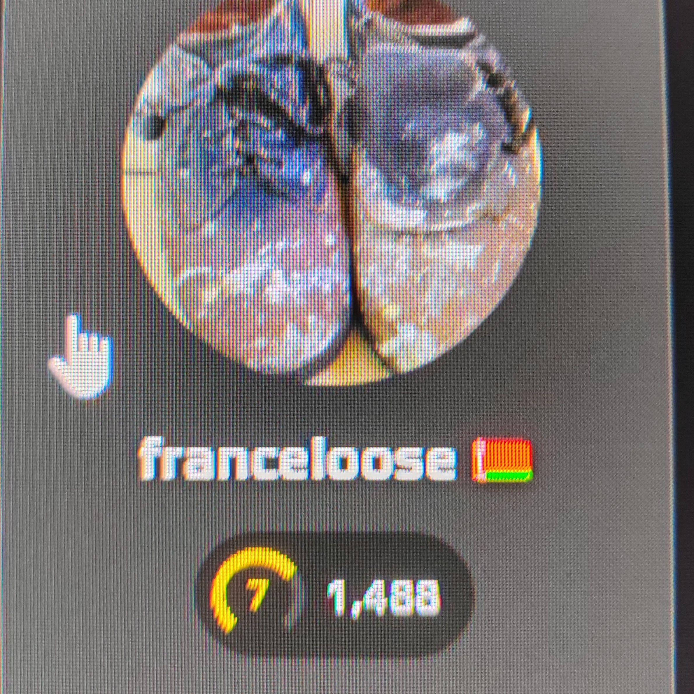 franceloose avatar