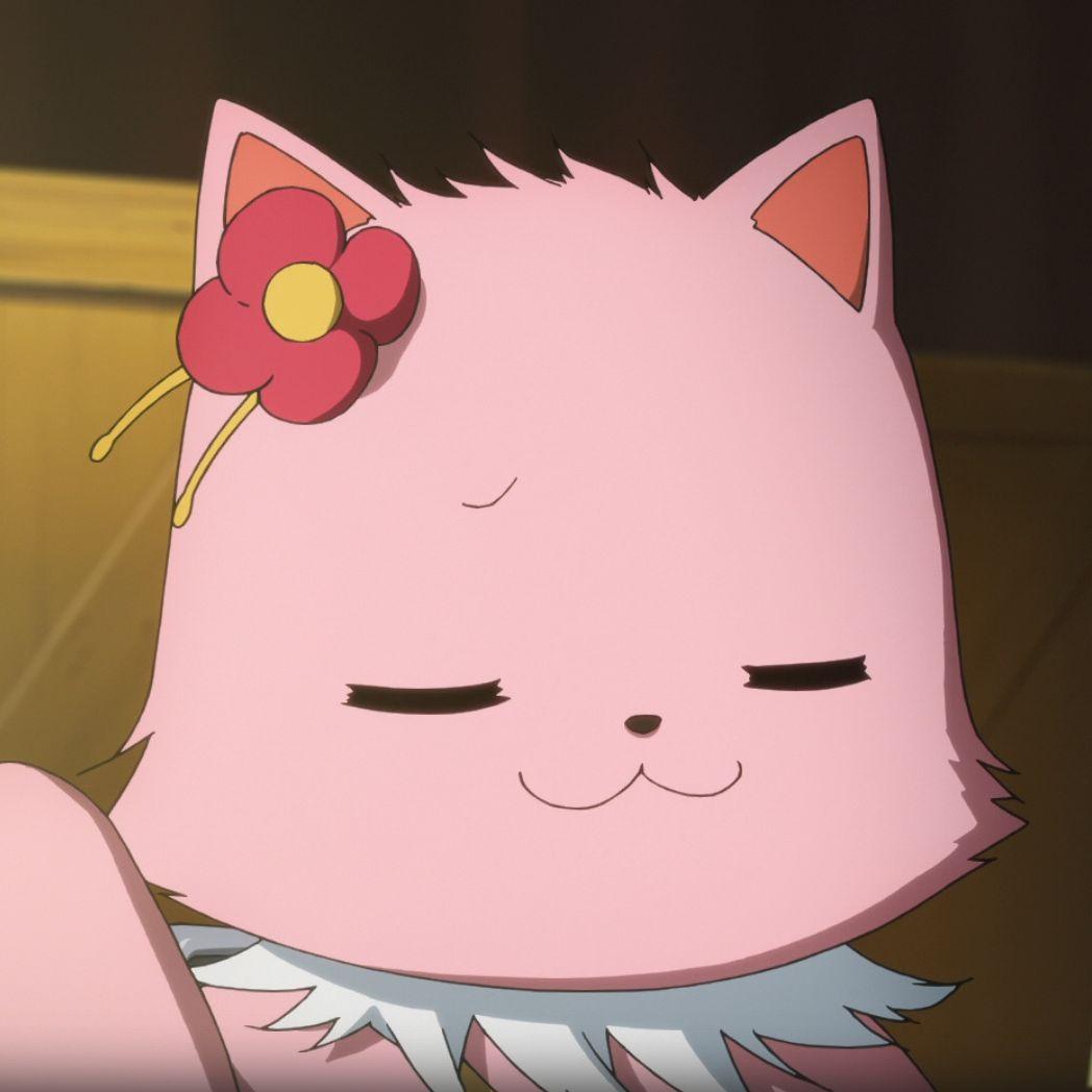 zelebok avatar