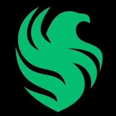 liverwyvern- FACEIT avatar