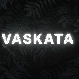 Player Vaskata_ avatar