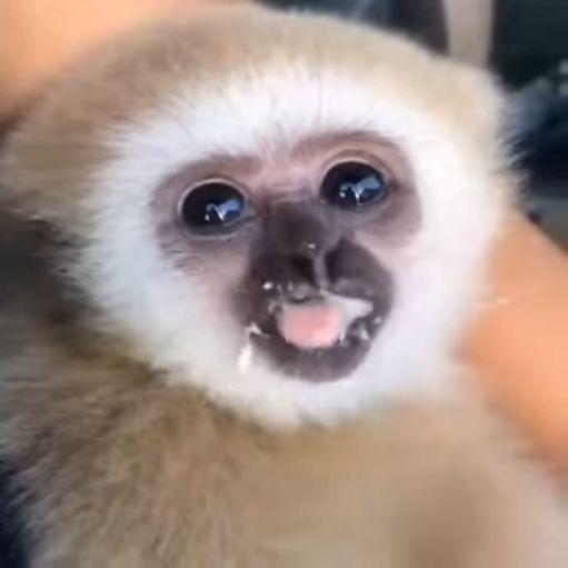 Krevii avatar