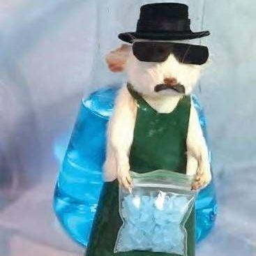 Uacias avatar