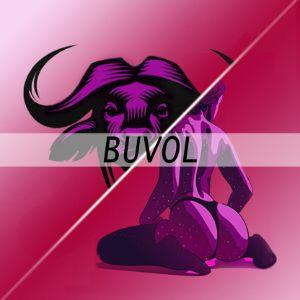 BuvolCZ avatar