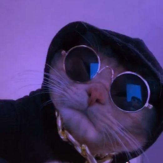 ecl1hpse avatar