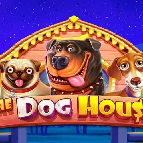 _dog_house_