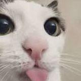 _elodonor_ avatar
